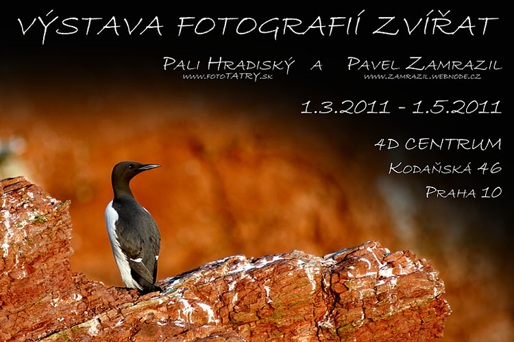 Pali Hradiský a Pavel Zamrazil - Výstava fotografií zvířat