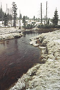 Jizerka