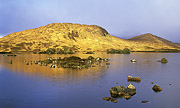 Ranní Rannoch