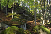 Lysé skály