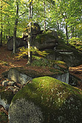 Lysé skály