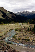 Údolí Bow Falls